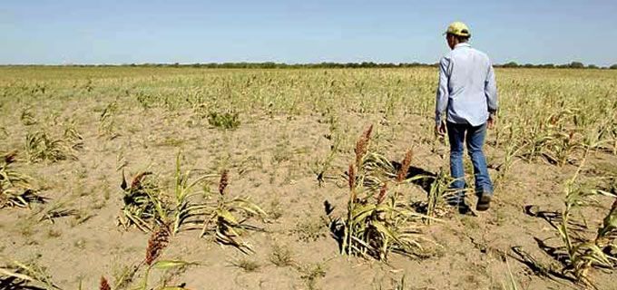 Declaran 7 municipios en desastre agropecuario