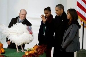 Obama perdona a un pavo en la Casa Blanca