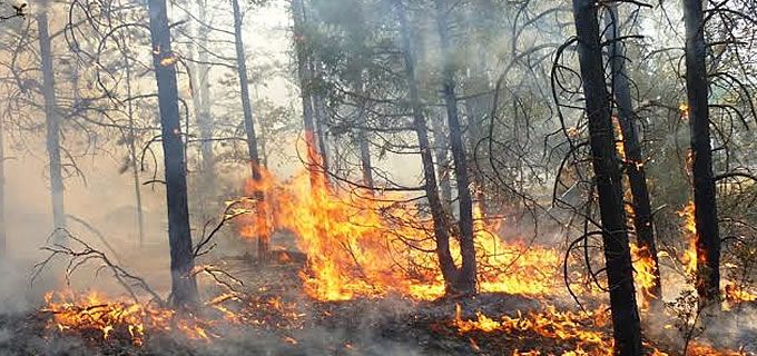 Listo el estado para temporada de incendios forestales