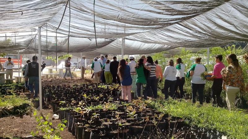 Celebra Semarnat Chihuahuan Día del Medio Ambiente