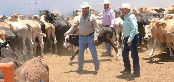 Da Duarte el Banderazo para la apertura de la Estación cuarentenaria de Ojinaga