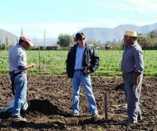 APLICA FEDERACION LOS SUBSIDIOS AL CAMPO CON PROPÓSITOS ELECTORALES