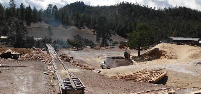 Generarán electricidad en Chihuahua con biomasa