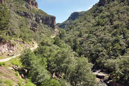 Caen topógrafos a barranco de 20 metros; 1 muerto