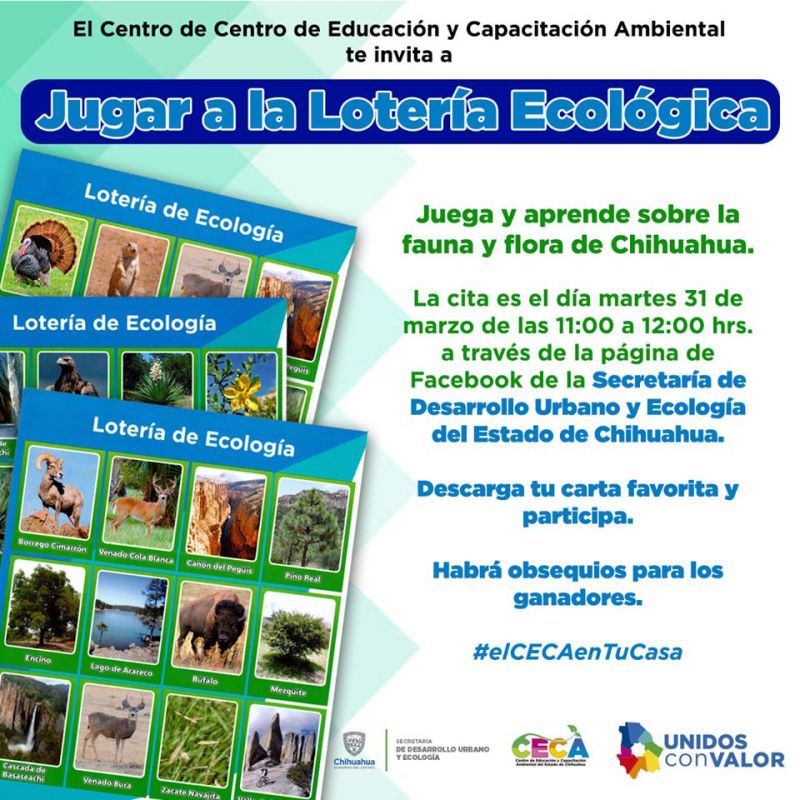 Invita Sedue a jugar Lotería Ecológica de forma virtual y en vivo