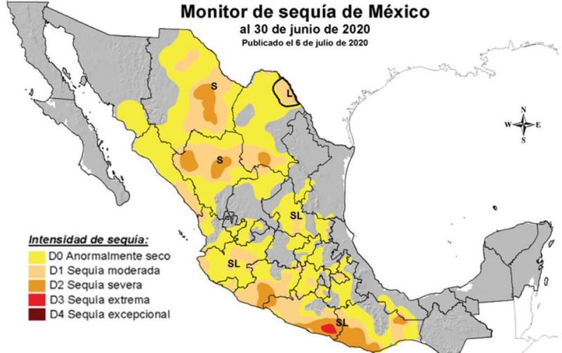 Ante la sequía y falta de pastizales,  apoya Estado al sector ganadero