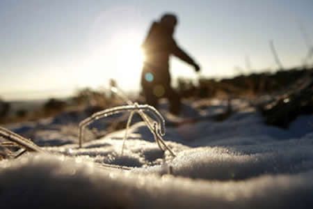 Amanecieron 28 municipios bajo cero; Matachí a -9 grados