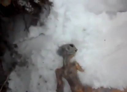 Descubren “alien muerto” en Siberia