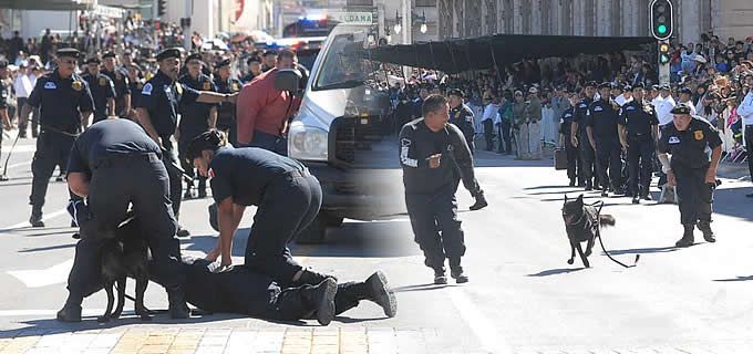 Despierta emociones Grupo K-9 de la DSPM en el desfile