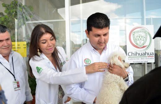 Arranca Secretaría de Salud Semana Nacional de Vacunación Antirrábica