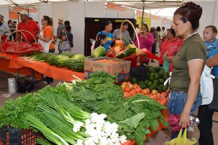 Por El Buen Fin, productores locales ofertarán descuentos en la Plaza Mayor