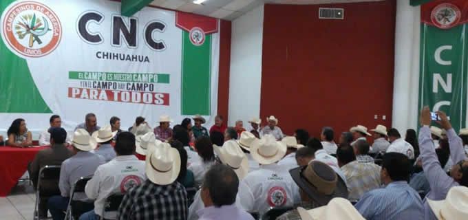 Manuel Cota Jiménez, nuevo líder nacional de CNC