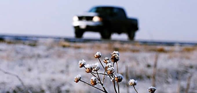 En horas, entrará segunda tormenta invernal con vientos