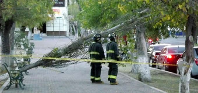 Frente frío 26 traerá fuertes vientos: SMN