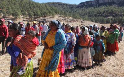 Lengua indígena en peligro de extinción: Inegi