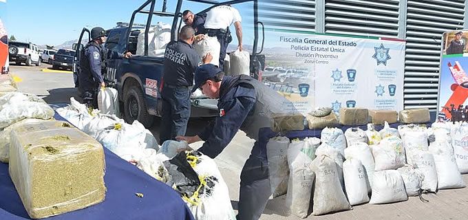 Aseguran más de 300 kg de marihuana en la Sierra